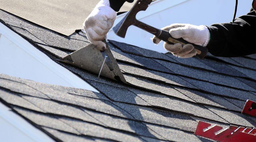 Professional gutter cleaning in Palm Harbor, FL